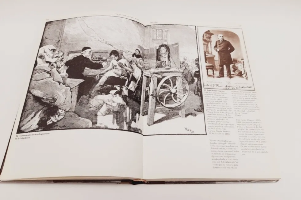 Libro Sigmund Freud Su vida en imágenes y textos (Usado)