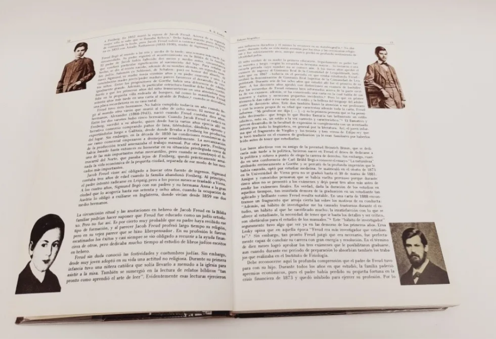 Libro Sigmund Freud Su vida en imágenes y textos (Usado)